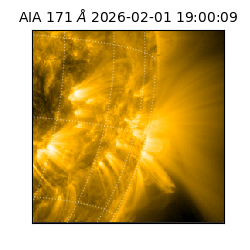 saia - 2026-02-01T19:00:09.352000