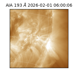 saia - 2026-02-01T06:00:06.616000