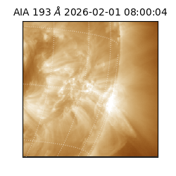 saia - 2026-02-01T08:00:04.835000