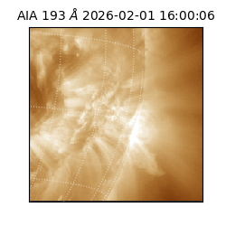 saia - 2026-02-01T16:00:06.780000