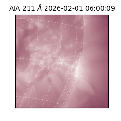 saia - 2026-02-01T06:00:09.623000