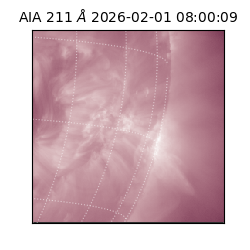 saia - 2026-02-01T08:00:09.618000