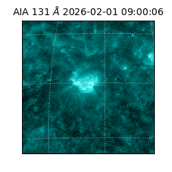 saia - 2026-02-01T09:00:06.622000