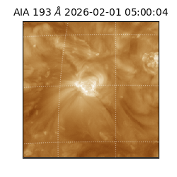 saia - 2026-02-01T05:00:04.843000