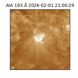saia - 2026-02-01T21:00:29.627000