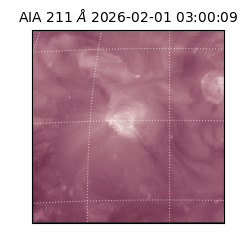 saia - 2026-02-01T03:00:09.637000