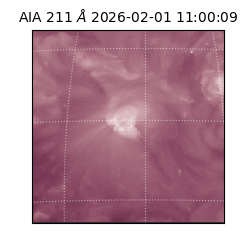 saia - 2026-02-01T11:00:09.632000