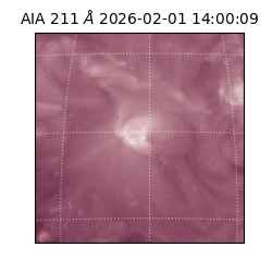 saia - 2026-02-01T14:00:09.625000