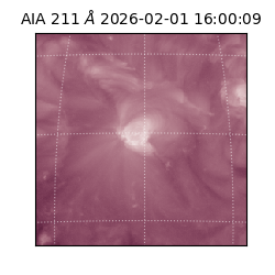 saia - 2026-02-01T16:00:09.619000