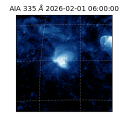 saia - 2026-02-01T06:00:00.631000