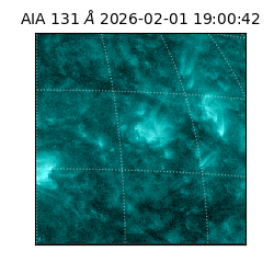 saia - 2026-02-01T19:00:42.625000