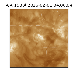 saia - 2026-02-01T04:00:04.843000