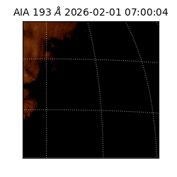 saia - 2026-02-01T07:00:04.843000