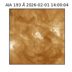 saia - 2026-02-01T14:00:04.843000