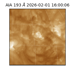 saia - 2026-02-01T16:00:06.780000