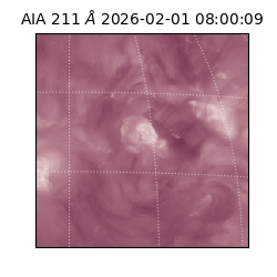 saia - 2026-02-01T08:00:09.618000
