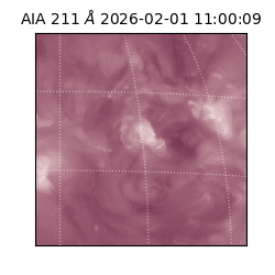 saia - 2026-02-01T11:00:09.632000