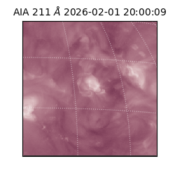 saia - 2026-02-01T20:00:09.623000