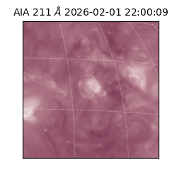 saia - 2026-02-01T22:00:09.625000