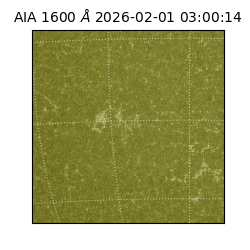 saia - 2026-02-01T03:00:14.125000