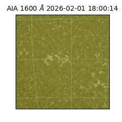 saia - 2026-02-01T18:00:14.130000