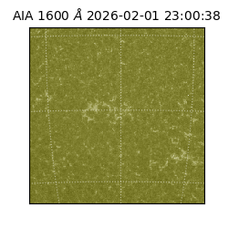 saia - 2026-02-01T23:00:38.126000