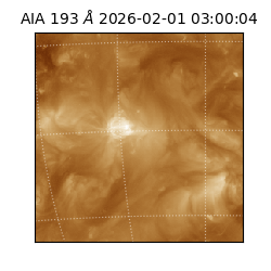 saia - 2026-02-01T03:00:04.843000