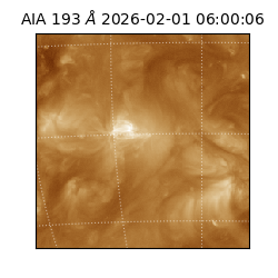 saia - 2026-02-01T06:00:06.616000