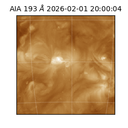 saia - 2026-02-01T20:00:04.843000