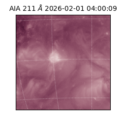 saia - 2026-02-01T04:00:09.633000