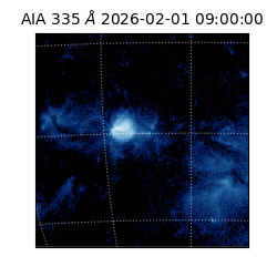 saia - 2026-02-01T09:00:00.622000