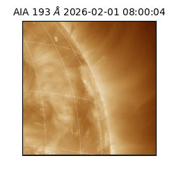 saia - 2026-02-01T08:00:04.835000