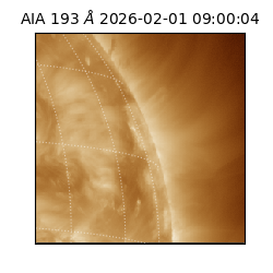 saia - 2026-02-01T09:00:04.843000