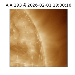 saia - 2026-02-01T19:00:16.843000