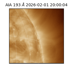 saia - 2026-02-01T20:00:04.843000