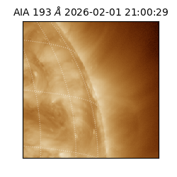 saia - 2026-02-01T21:00:29.627000
