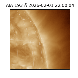 saia - 2026-02-01T22:00:04.843000