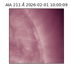 saia - 2026-02-01T10:00:09.622000