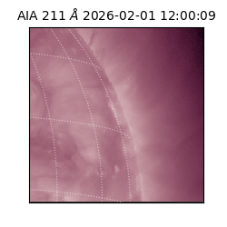 saia - 2026-02-01T12:00:09.633000