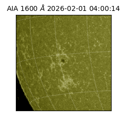 saia - 2026-02-01T04:00:14.125000