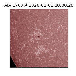 saia - 2026-02-01T10:00:28.717000
