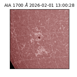 saia - 2026-02-01T13:00:28.717000