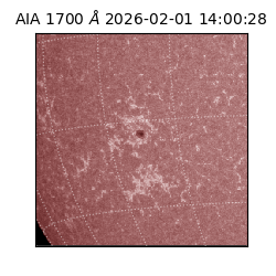saia - 2026-02-01T14:00:28.718000