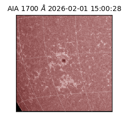 saia - 2026-02-01T15:00:28.717000