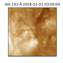 saia - 2026-02-01T03:00:04.843000