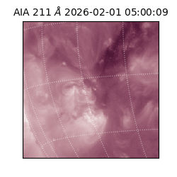 saia - 2026-02-01T05:00:09.630000