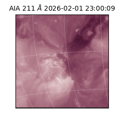 saia - 2026-02-01T23:00:09.633000