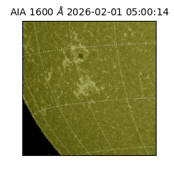 saia - 2026-02-01T05:00:14.125000