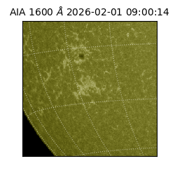 saia - 2026-02-01T09:00:14.130000