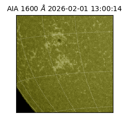 saia - 2026-02-01T13:00:14.126000